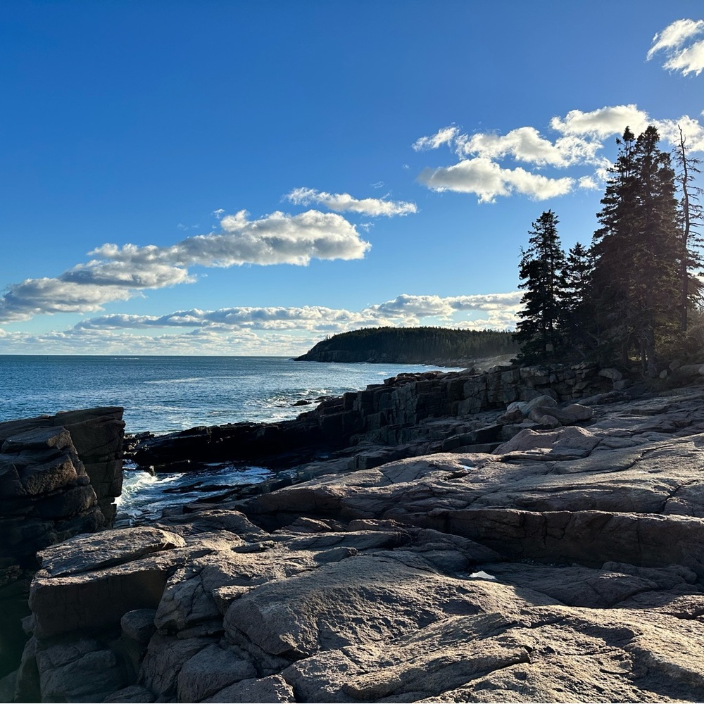 Heyyyy from Maine 🌲☀️🌊⛄️